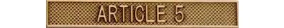 Article 5