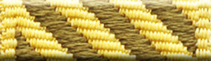 Conspicuous Service Medal