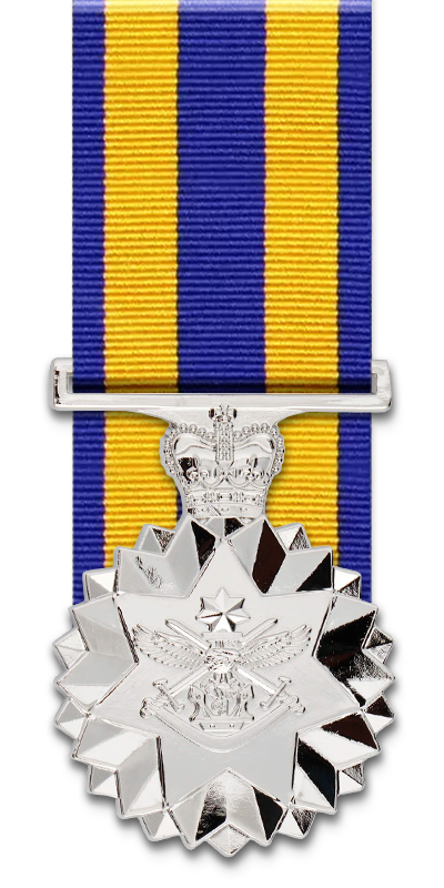 Defence Force Service Medal