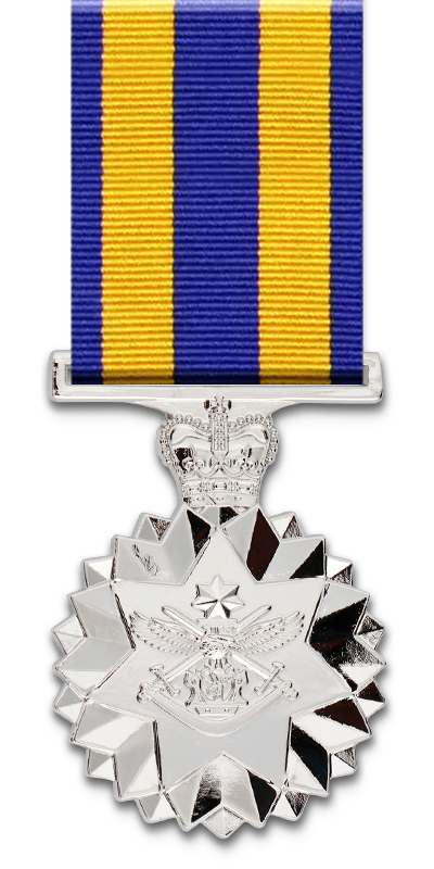 Defence Force Service Medal