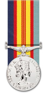 Vietnam Medal