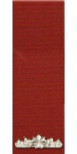 Commendation for Distinguished Service