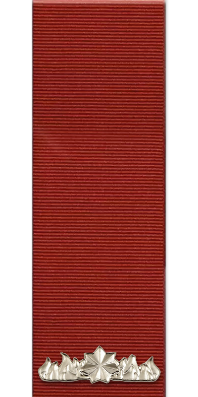 Commendation for Distinguished Service