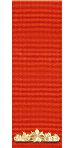 Commendation for Gallantry