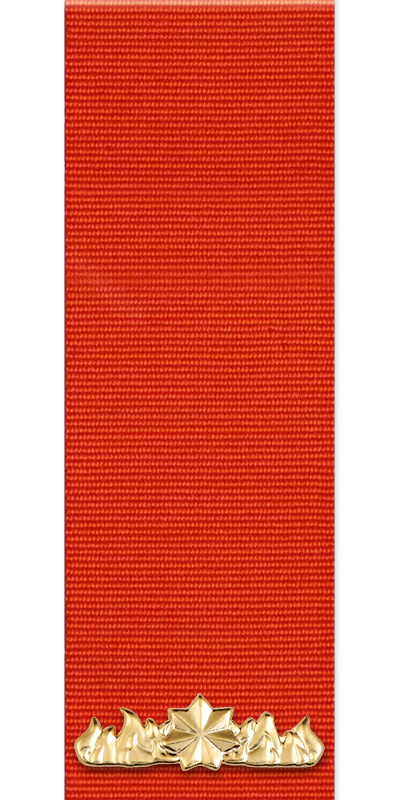 Commendation for Gallantry