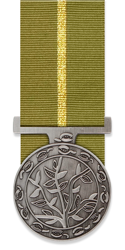 Humanitarian Overseas Service Medal