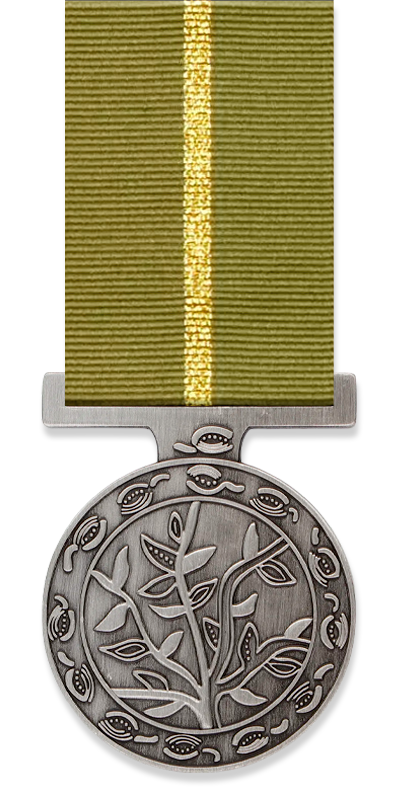 Humanitarian Overseas Service Medal