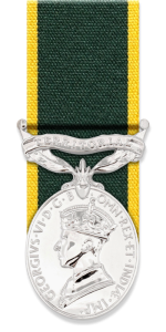 Territorial Efficiency Medal