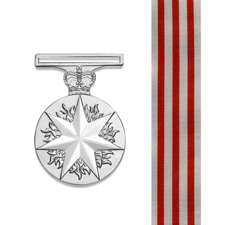 Distinguished Service Medal
