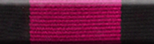 Natal Native Rebellion Medal 1906
