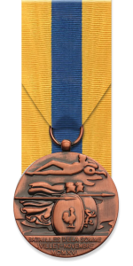 Combatants de la Somme Medal