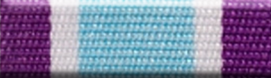 AFP Welfare Services Medal