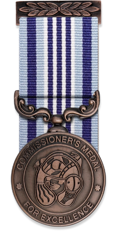 AFP Commissioner's Medal for Excellence