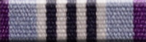 AFP Commissioner's Medal for Innovation