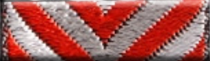 Ambulance Service Medal