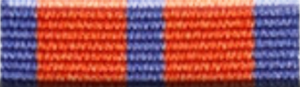 NSW SES Long Service Medal