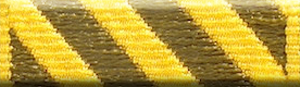 Conspicuous Service Medal